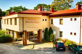  Hotel Borowianka  Гмина Острув-Велькопольски